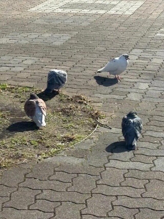 手に入れるなら｜写メ日記｜あやな｜新宿 一般デリヘル デザインプリズム新宿