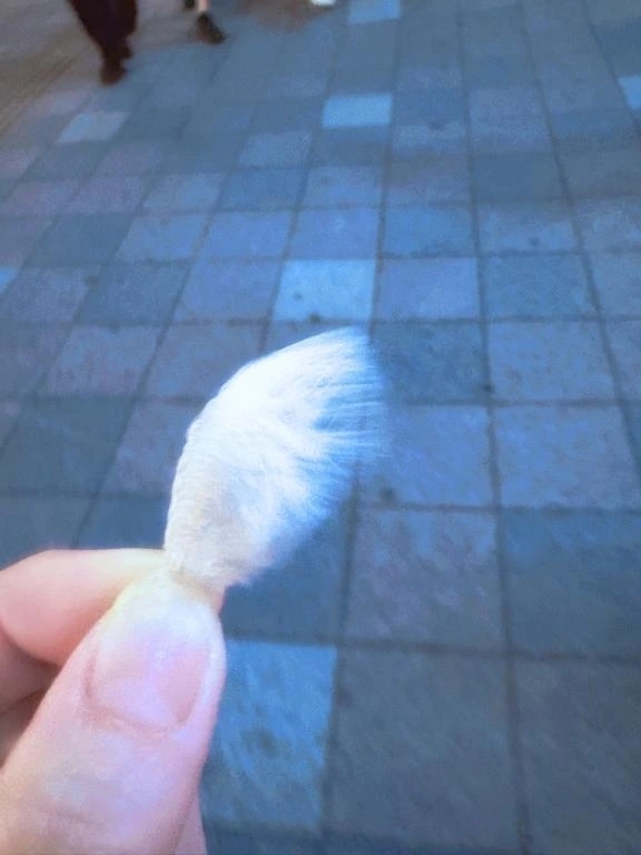 しあわせのかたち｜写メ日記｜あやな｜新宿 一般デリヘル デザインプリズム新宿