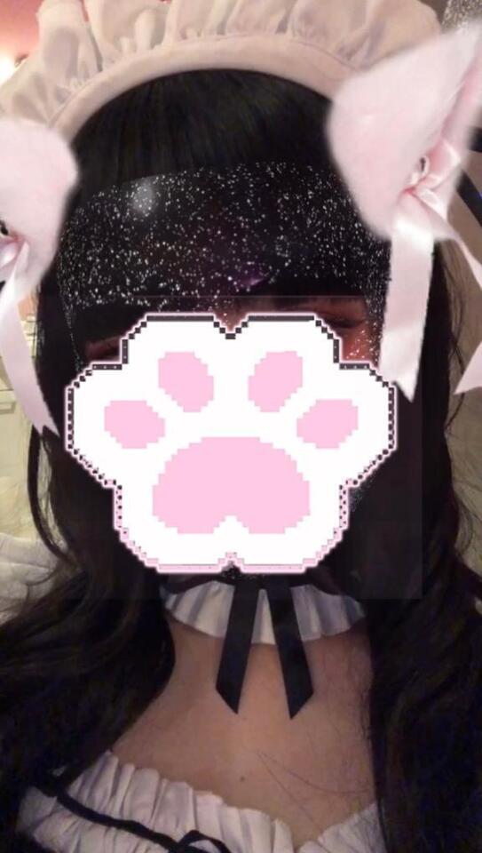 にゃん^ᴗ.ᴗ^♡｜写メ日記｜ゆあ｜新宿 一般デリヘル デザインプリズム新宿