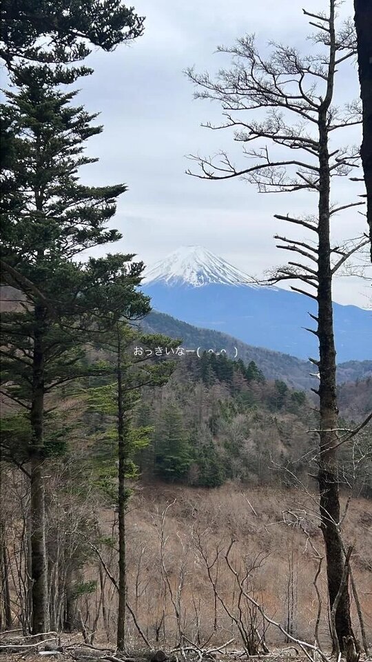 🗻｜写メ日記｜ななせ｜新宿 一般デリヘル デザインプリズム新宿