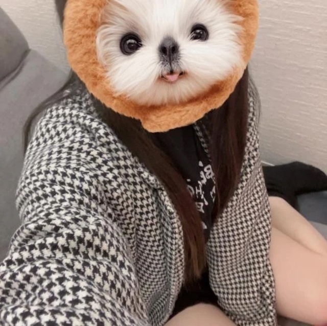 今日の色は…｜写メ日記｜みか｜新宿 一般デリヘル デザインプリズム新宿