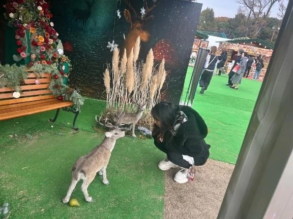 おやすみです！｜写メ日記｜まり｜新宿 一般デリヘル デザインプリズム新宿