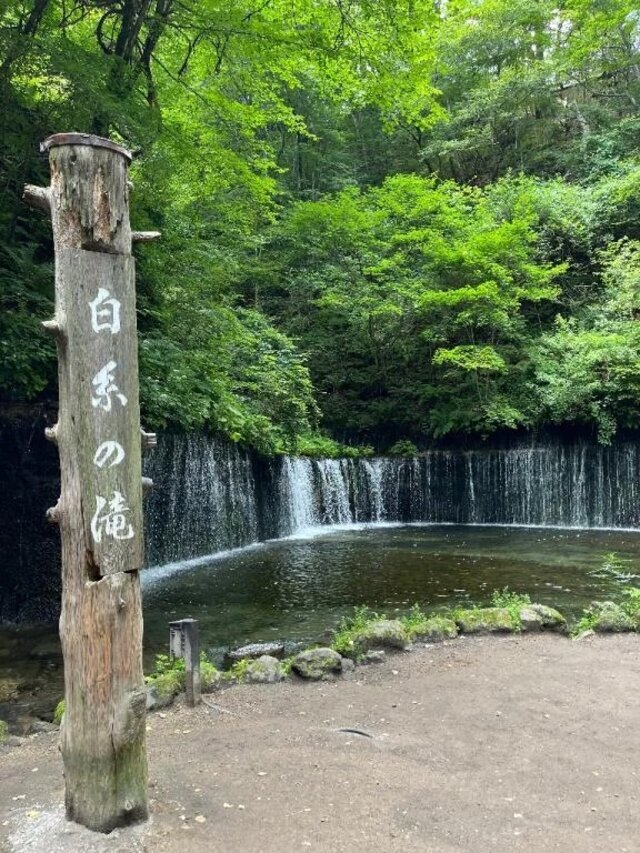 今後のご予定は、、？｜写メ日記｜ぐみ｜新宿 一般デリヘル デザインプリズム新宿