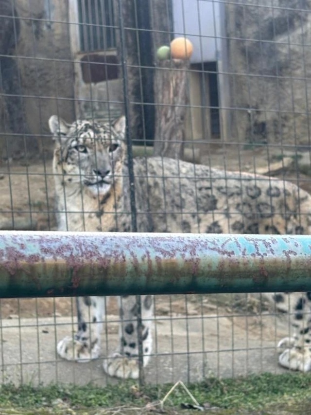 次回の出勤｜写メ日記｜あずさ｜新宿 一般デリヘル デザインプリズム新宿