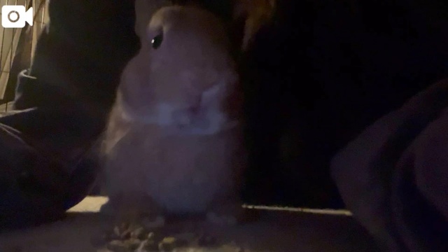 (இдஇ)｜写メ日記｜ゆに｜新宿 一般デリヘル デザインプリズム新宿