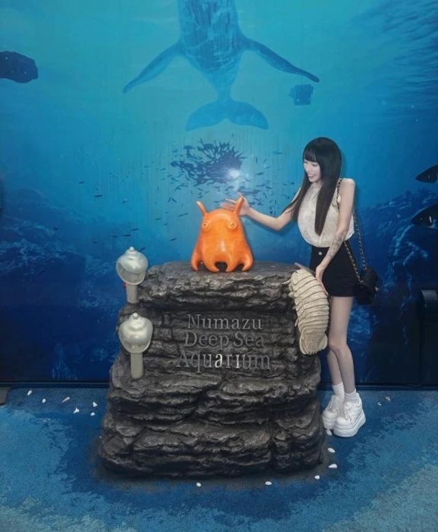 🐬