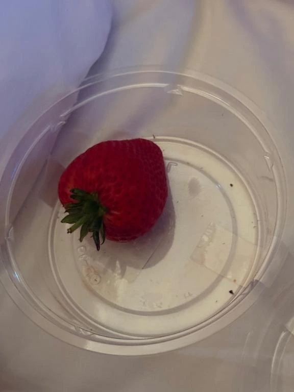 ❤️｜写メ日記｜りみ｜新宿 一般デリヘル デザインプリズム新宿