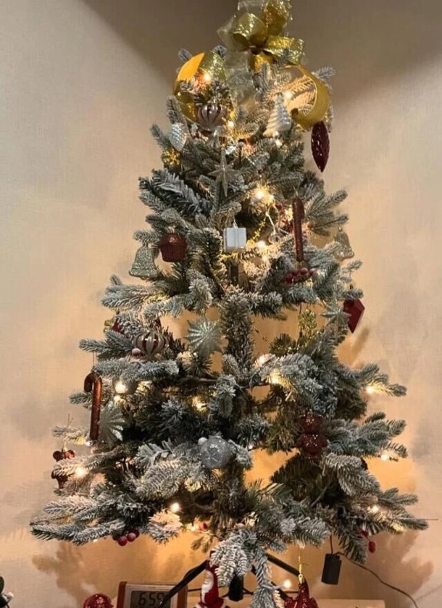 冬が好きなあらんです☃️❄️｜写メ日記｜あらん｜新宿 一般デリヘル デザインプリズム新宿