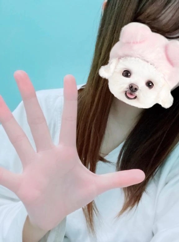 おわり࣪ 𑊢‪‪❤︎‬