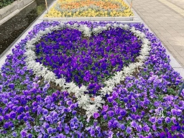 ⭐️｜写メ日記｜れの｜新宿 一般デリヘル デザインプリズム新宿