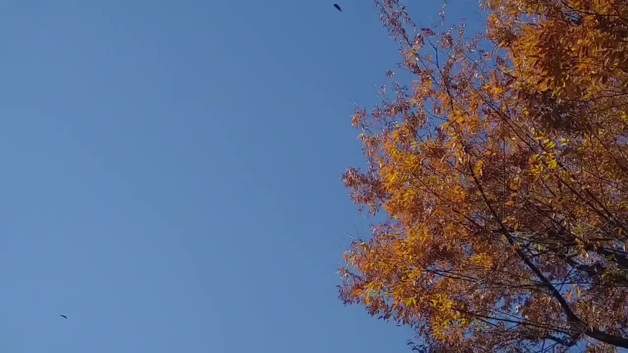 下におっぱいあり〼😙