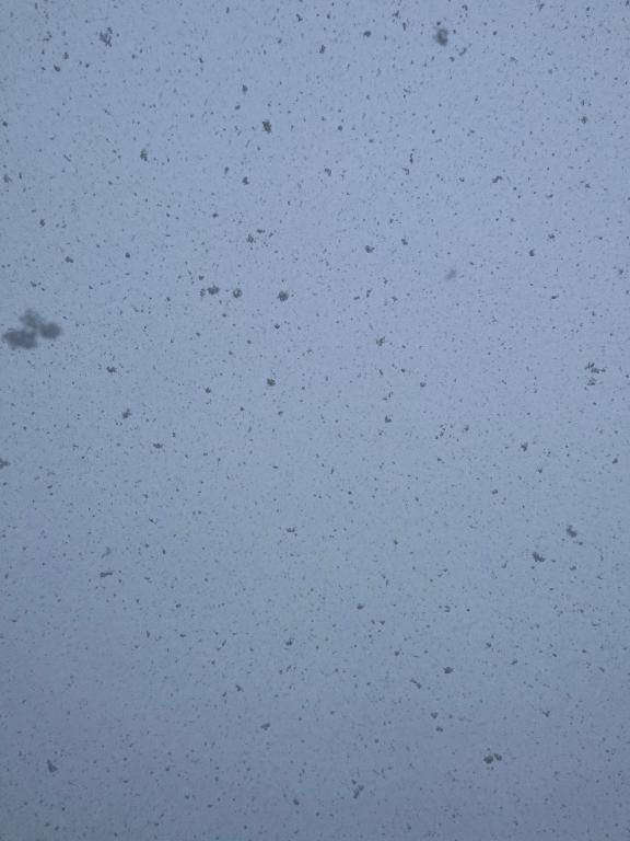 帰省中🏠☃️｜写メ日記｜りか｜鶯谷 ぽっちゃりデリヘル ダイナマイト