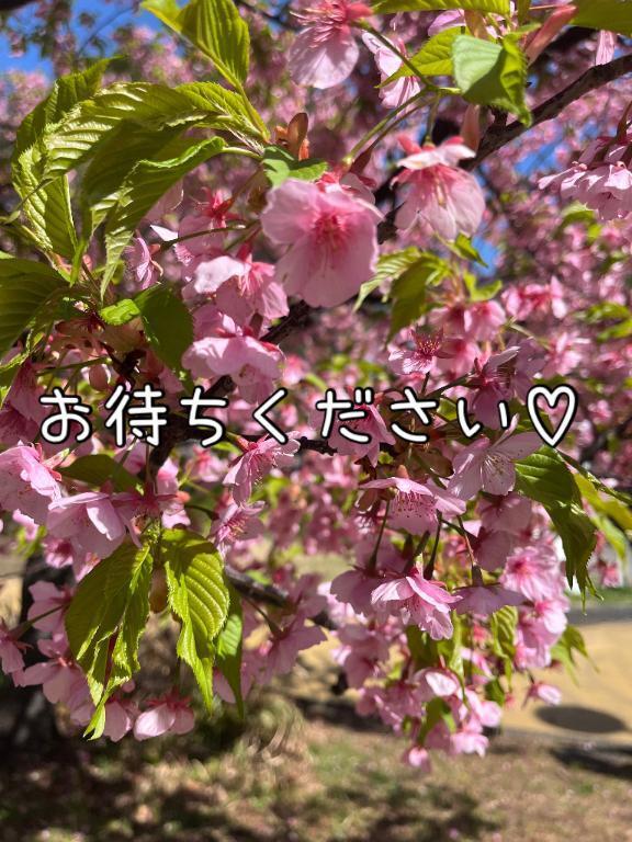 ちょっとだけ…お待ちください🙏🥺