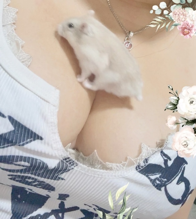 スタート｜写メ日記｜あすか｜鶯谷 ぽっちゃりデリヘル ダイナマイト