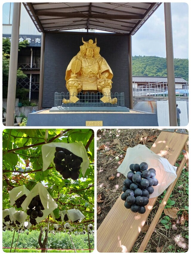 おはようございます