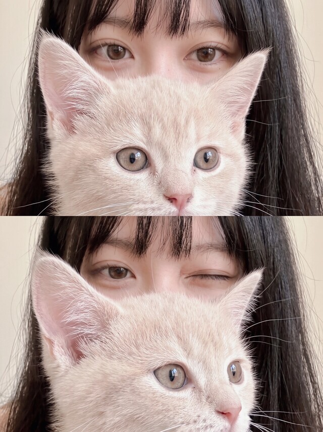 お礼＆次の出勤について🐱‪‪❤︎‬｜写メ日記｜ちとせ牛ちゃん｜鶯谷 ぽっちゃりデリヘル ダイナマイト