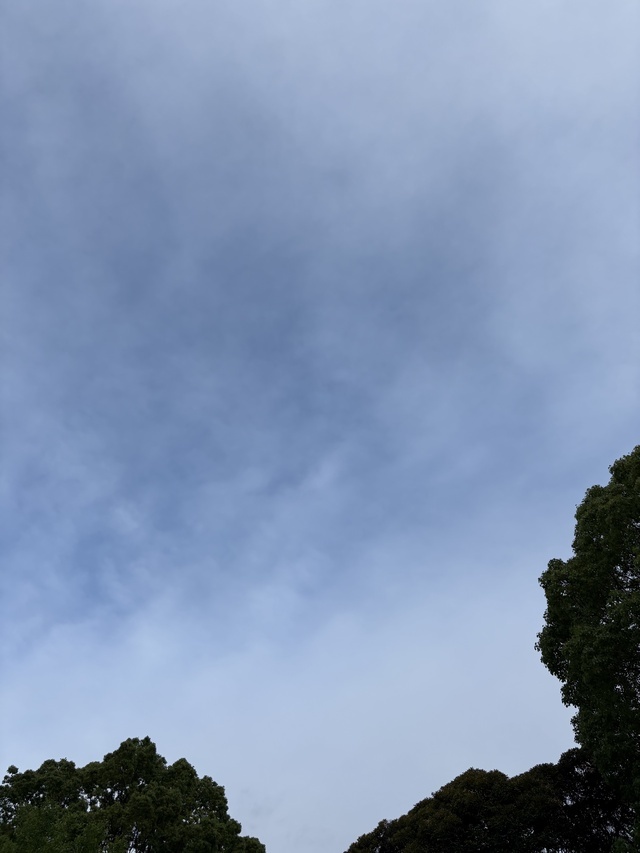 おつかれさま！｜写メ日記｜るみ｜鶯谷 ぽっちゃりデリヘル ダイナマイト
