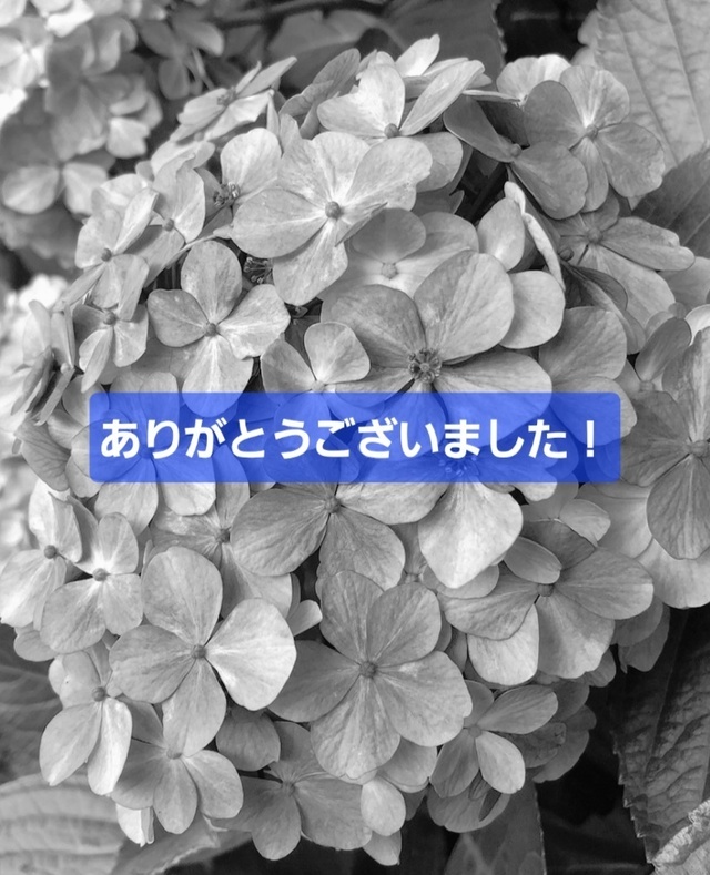楽しい時間でした！