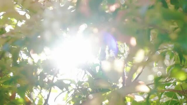 おはようございます｜写メ日記｜山形｜大塚・巣鴨 人妻デリヘル 誘惑マル秘ミセス