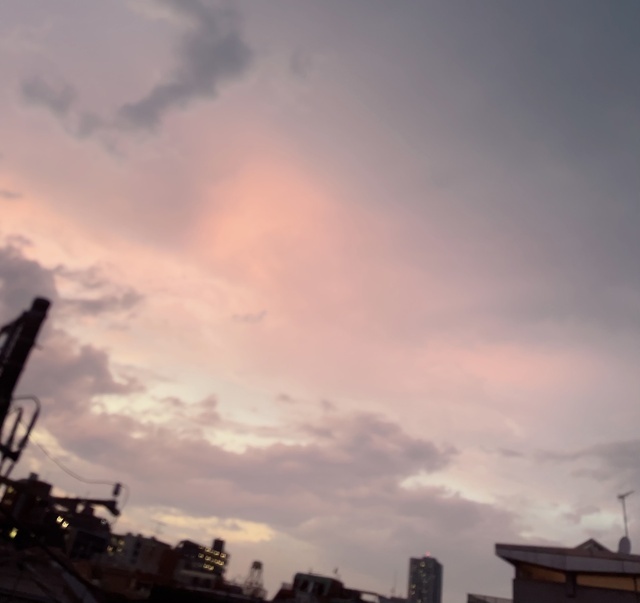 雨に