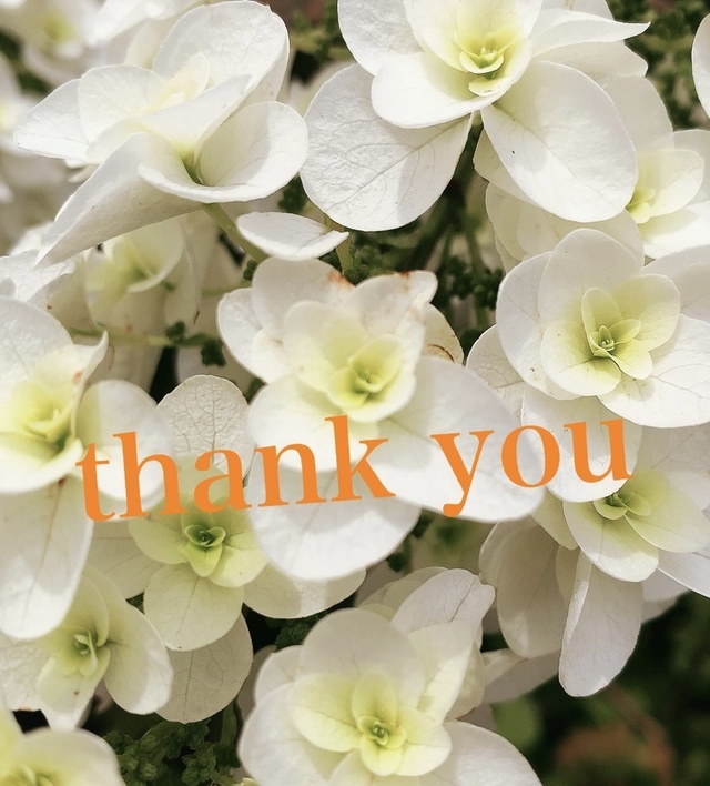 あと｜写メ日記｜山形｜大塚・巣鴨 人妻デリヘル 誘惑マル秘ミセス