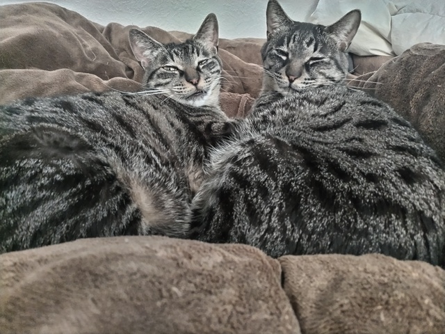 寒い🥶　こんな日は。。。