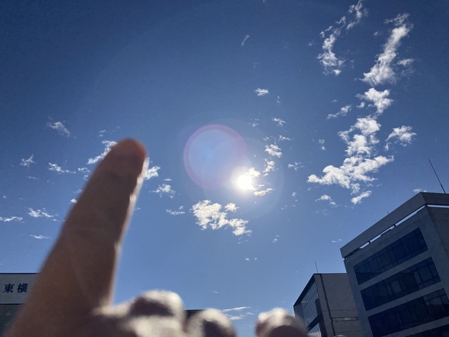 こんにちは☀️｜写メ日記｜平野｜大塚・巣鴨 人妻デリヘル 誘惑マル秘ミセス