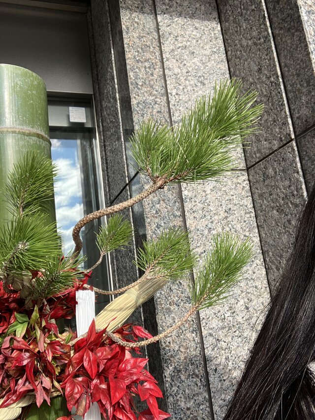 お散歩🚶🏻‍♀️‍➡️｜写メ日記｜平野｜大塚・巣鴨 人妻デリヘル 誘惑マル秘ミセス