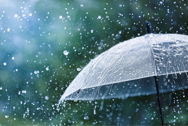 お早うございます☔️
