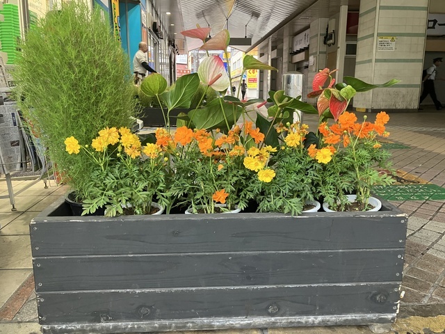 お早うございます☔️｜写メ日記｜平野｜大塚・巣鴨 人妻デリヘル 誘惑マル秘ミセス