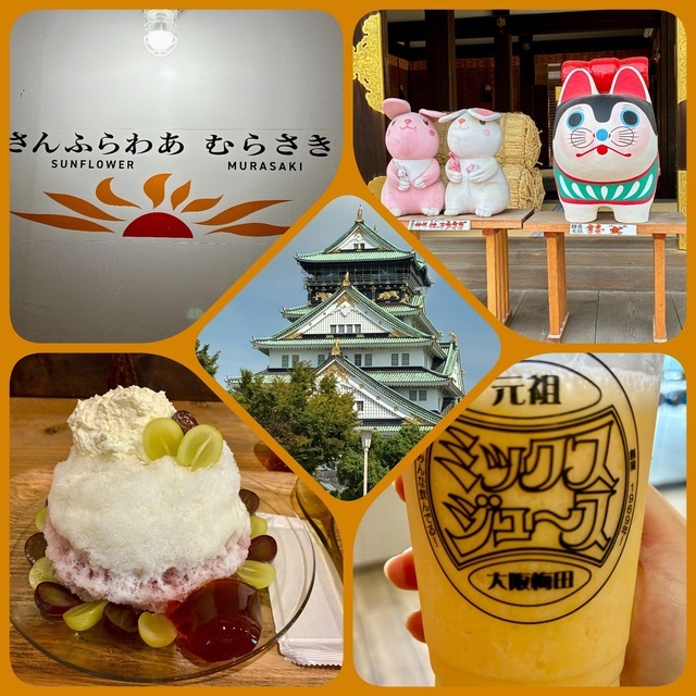 10月ですね｜写メ日記｜福田｜大塚・巣鴨 人妻デリヘル 誘惑マル秘ミセス