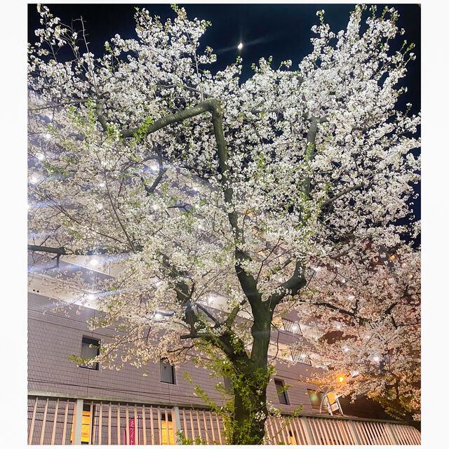 読んでくれて♡｜写メ日記｜山岸｜大塚・巣鴨 人妻デリヘル 誘惑マル秘ミセス