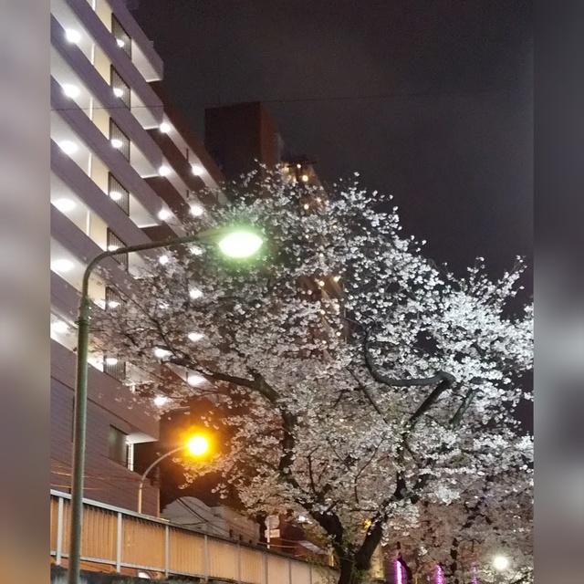 ありがとうございました！｜写メ日記｜村上｜大塚・巣鴨 人妻デリヘル 誘惑マル秘ミセス