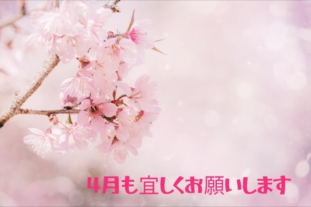 4月｜写メ日記｜村上｜大塚・巣鴨 人妻デリヘル 誘惑マル秘ミセス