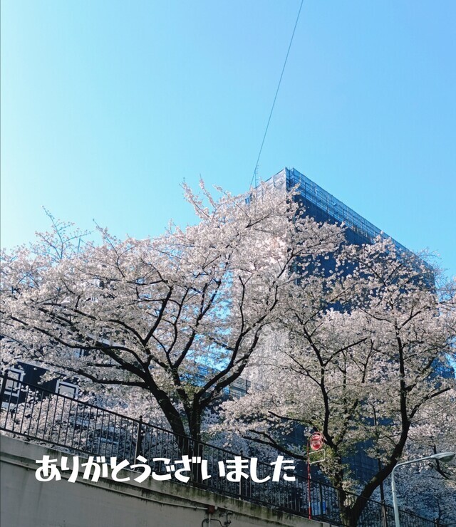 ありがとうございました！｜写メ日記｜村上｜大塚・巣鴨 人妻デリヘル 誘惑マル秘ミセス