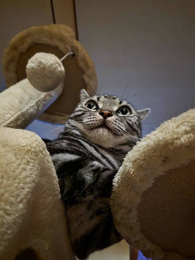 なんじゃこりゃの1年💦｜写メ日記｜高山｜大塚・巣鴨 人妻デリヘル 誘惑マル秘ミセス