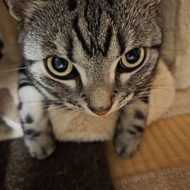 長ーーいおやすみから