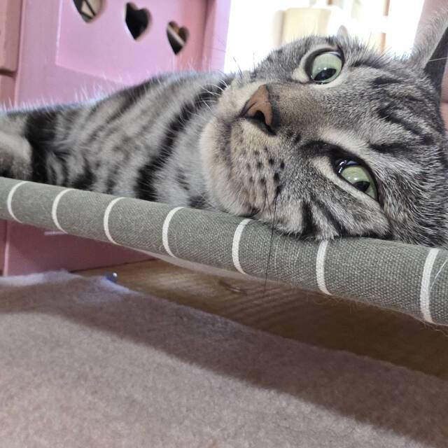 出勤します｜写メ日記｜高山｜大塚・巣鴨 人妻デリヘル 誘惑マル秘ミセス