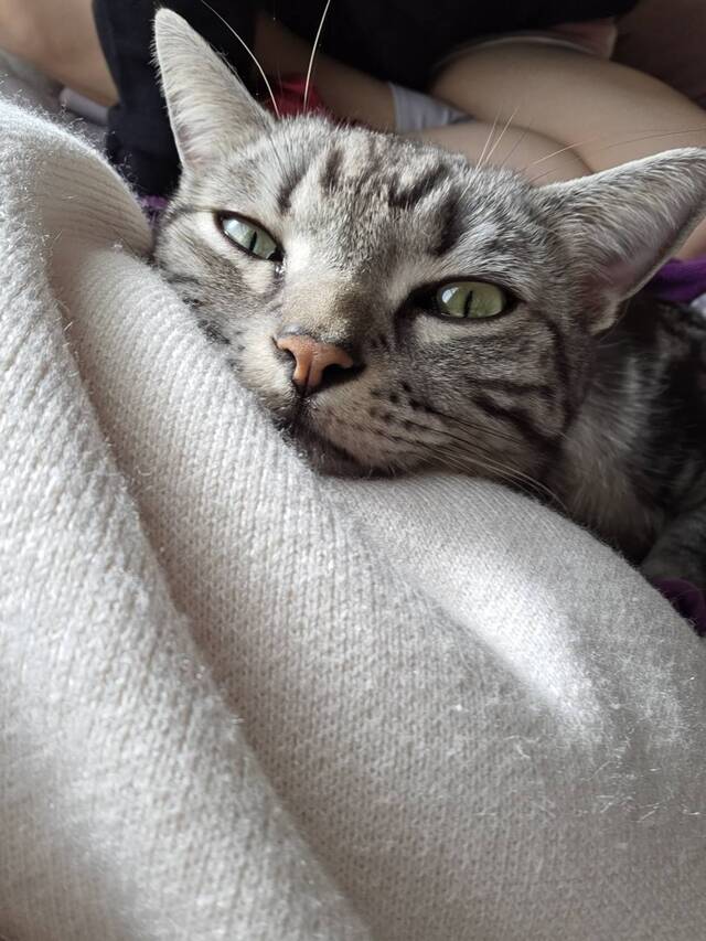 明日出勤🍌｜写メ日記｜高山｜大塚・巣鴨 人妻デリヘル 誘惑マル秘ミセス