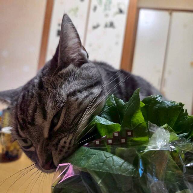 あららの巻｜写メ日記｜高山｜大塚・巣鴨 人妻デリヘル 誘惑マル秘ミセス