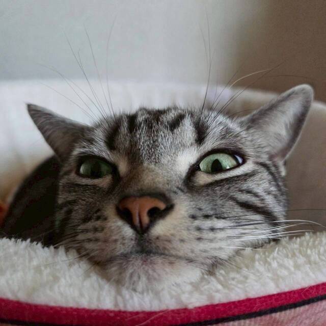 トボトボと…(´-ω-`)