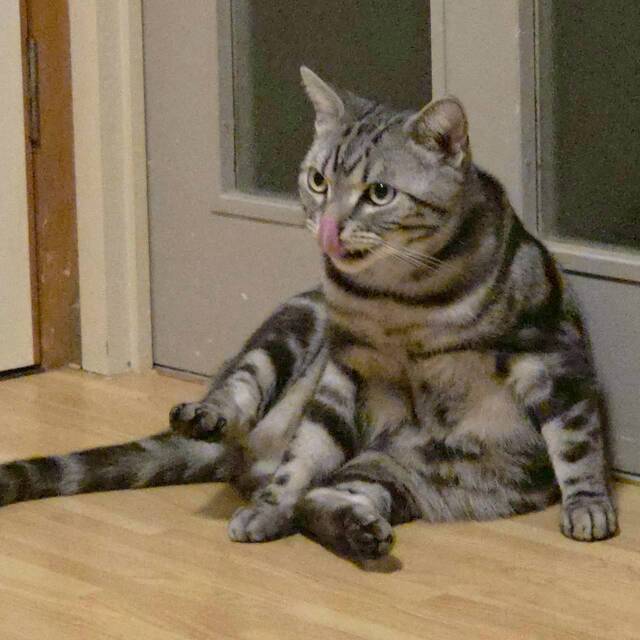 お天気☀️.°|写メ日記|高山|大塚・巣鴨 人妻デリヘル 誘惑マル秘ミセス