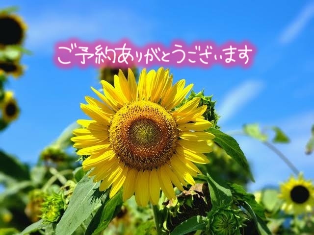 ✨ありがとうございます✨｜写メ日記｜沙原｜大塚・巣鴨 人妻デリヘル 誘惑マル秘ミセス