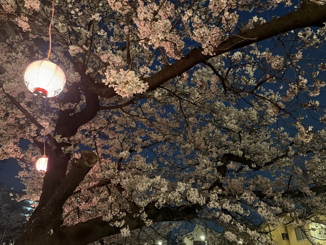 しましたか？？｜写メ日記｜沙原｜大塚・巣鴨 人妻デリヘル 誘惑マル秘ミセス