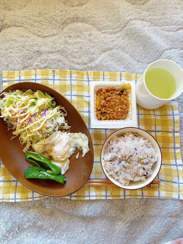 小春日和の月曜日〜｜写メ日記｜綾野｜大塚・巣鴨 人妻デリヘル 誘惑マル秘ミセス