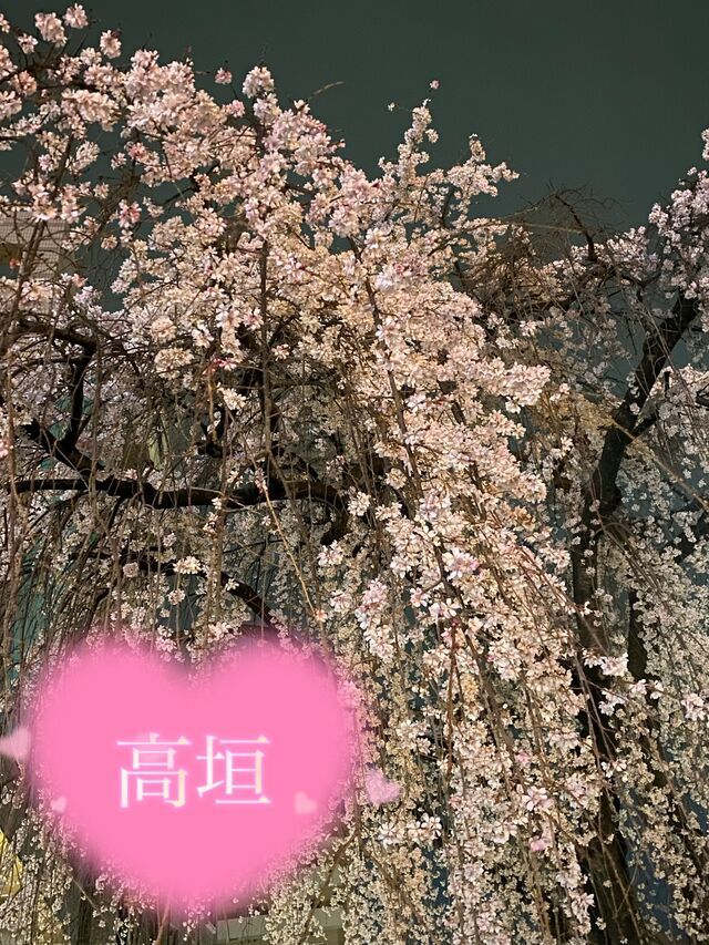 御礼と今週は🌼｜写メ日記｜高垣｜大塚・巣鴨 人妻デリヘル 誘惑マル秘ミセス