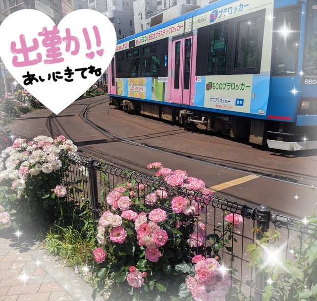 バラまつり｜写メ日記｜真島｜大塚・巣鴨 人妻デリヘル 誘惑マル秘ミセス