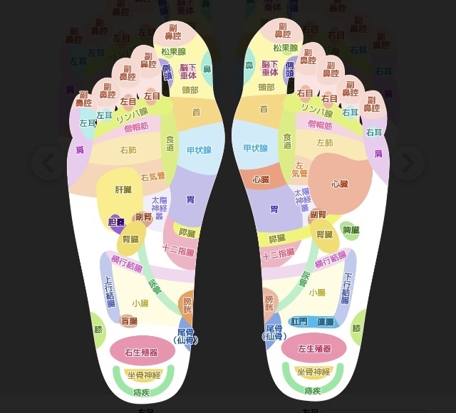 足ツボマッサージ｜写メ日記｜長門｜大塚・巣鴨 人妻デリヘル 誘惑マル秘ミセス