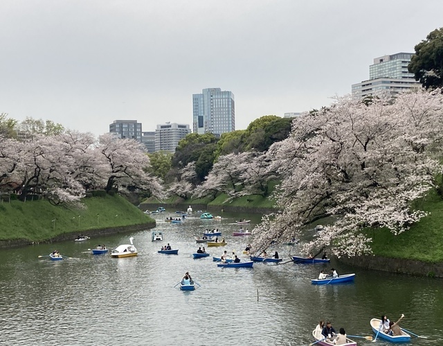 長門の休日🌸｜写メ日記｜長門｜大塚・巣鴨 人妻デリヘル 誘惑マル秘ミセス