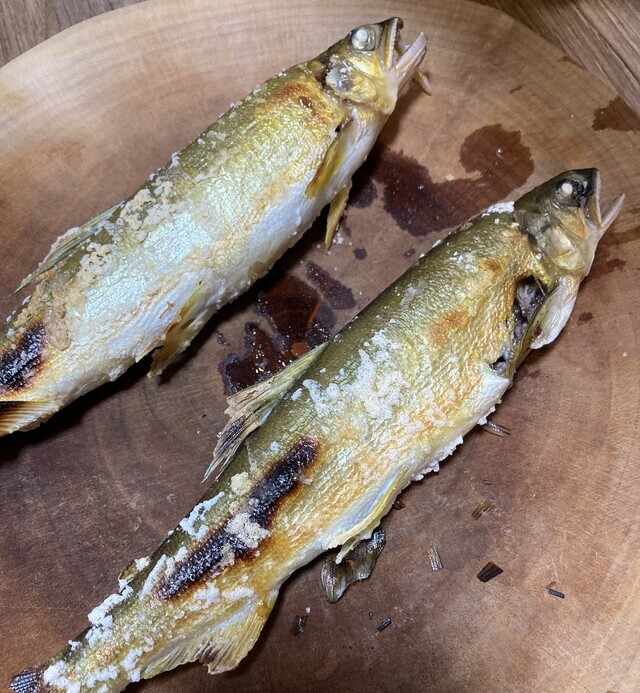 旬な物を食す｜写メ日記｜長門｜大塚・巣鴨 人妻デリヘル 誘惑マル秘ミセス